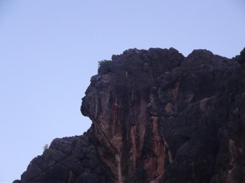 Jindamurra image at Tunnel Creek