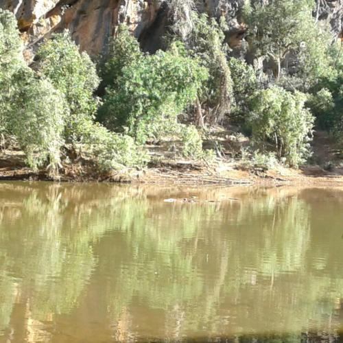 Windjuna gorge 2 fresh water crocs